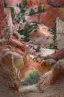Early morning view of hoodoo formations Bryce Canyon National Park, Utah Art Print
